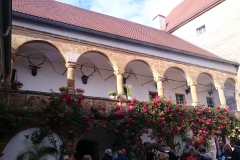 Geburtstag Schloss Fronberg